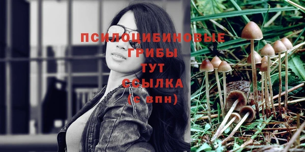 стаф Алексин