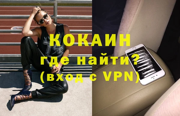 прущие грибы Осташков