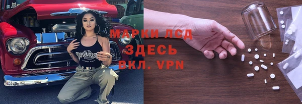 стаф Алексин