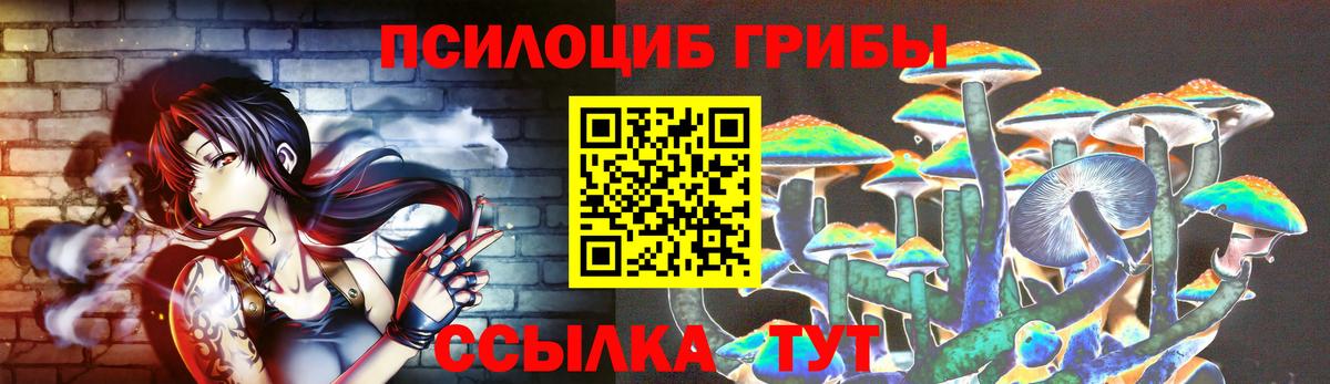 Галлюциногенные грибы Psilocybine cubensis  Вход с VPN  Советская Гавань 